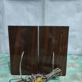 Loa vệ tinh (loa con) Nansin