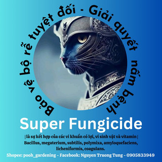 SUPER FUNGICIDE - Giải quyết nấm bệnh, thối nhũn cây trồng - 100 lít phun