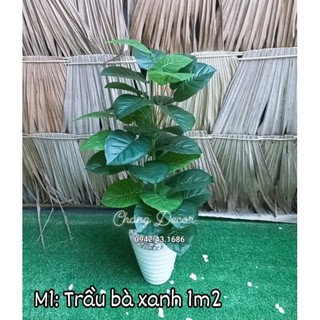 Cây giả, cây trầu bà giả, vạn niên thanh cao 1m2 gồm 3 thân trang trí nhà cửa