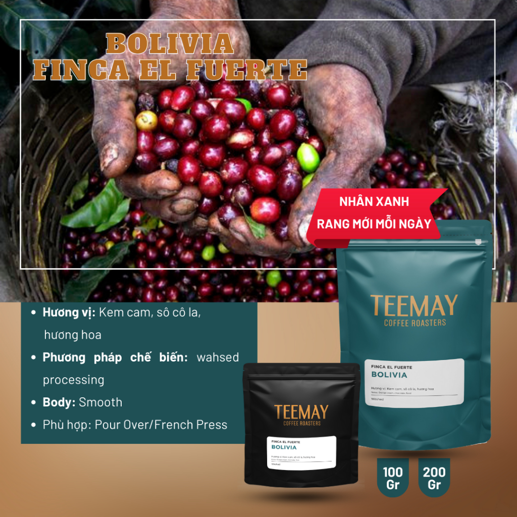 Cà Phê Bolivia Finca El Fuerte - Cà Phê Specialty - Teemay Coffee Roasters