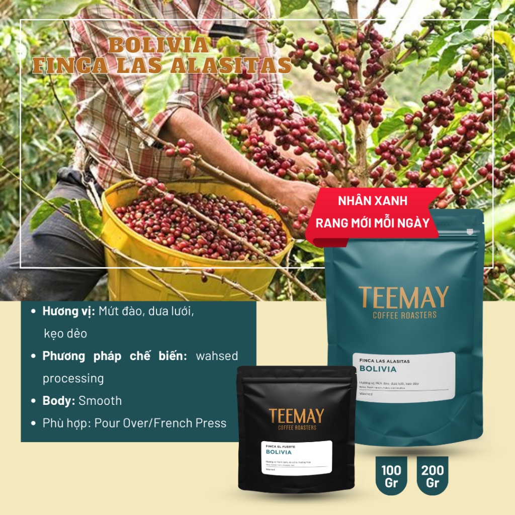 Cà Phê Bolivia Finca Las Alasitas -  Cà phê Specialty - Teemay Coffee Roasters