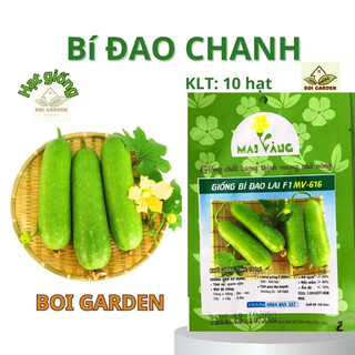 Hạt giống Bí Đao chanh lai F1