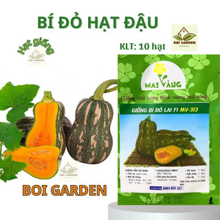 Hạt giống bí đỏ hạt đậu lai f1