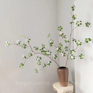 Cành thạch nam - cành thạch nam nhật bản dài 120cm decor siêu xinh