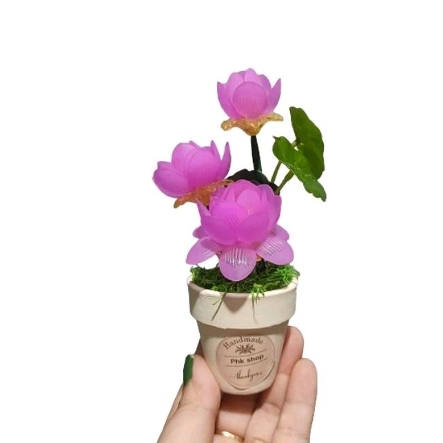 Chậu sen mini, Hoa sen pha lê chậu mini