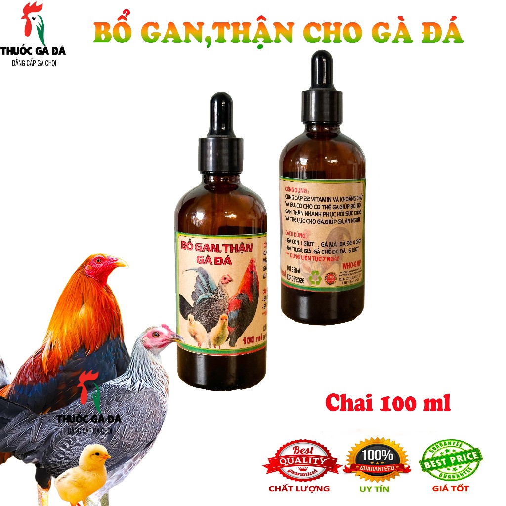 Giải độc gan nhân sâm B12 phục hồi tái tạo gan, thận dành cho gà đá [Dinh dưỡng nuôi gà]