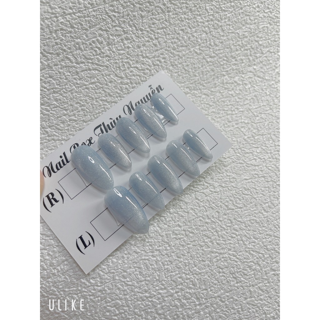 Nailbox thiết kế thạch mắc mèo sire XS,S,M,L