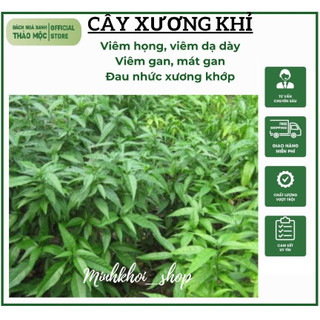 1Kg Cây xương khỉ, cây bìm bịp, cây hoàn ngọc nhà trồng phơi sạch sẽ