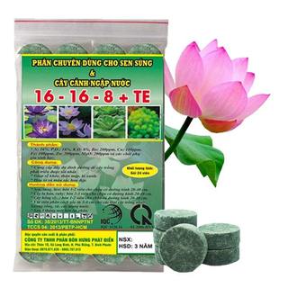 PHÂN BÓN NÉN CHUYÊN SEN SÚNG VÀ CÂY NGẬP NƯỚC ( 6 VIÊN )