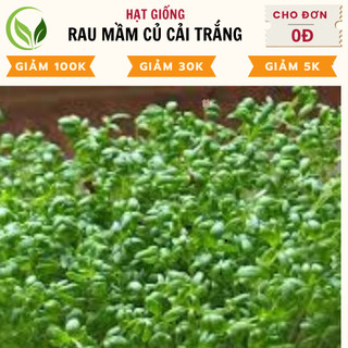 Hạt giống rau mầm súp lơ - nảy mầm cao, dễ trồng, chất lượng tốt