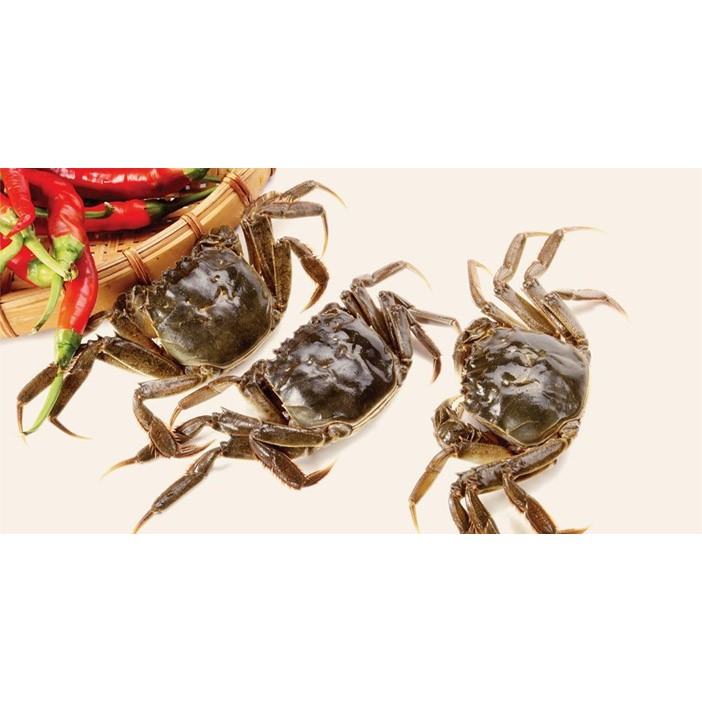 Cua đồng giã tay Vina Cua 200g | thịt cua đồng sạch nguyên chất [HN giao hỏa tốc] - Ảnh 4