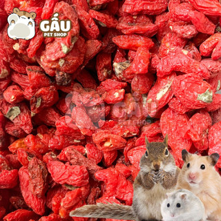 Kỷ tử cho Hamster / Sóc