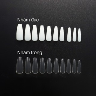 móng up thang nhám hsm đục trong