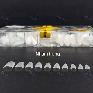 móng up thang nhám hsm đục trong