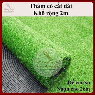 Thảm cỏ ngọn cao 2cm, rộng 1m và 2m , thảm cỏ nhân tạo nguyên cuộn dài 25m
