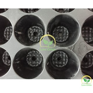 Bộ 5 khay Ươm, Vỉ Ươm Hạt Cây Con 104 Lỗ