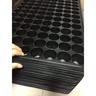 Bộ 5 khay Ươm, Vỉ Ươm Hạt Cây Con 104 Lỗ