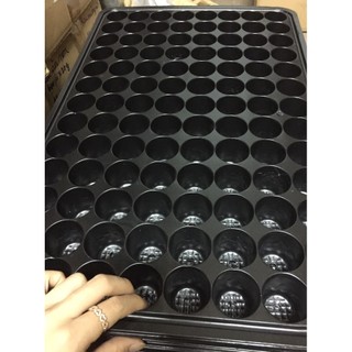 Bộ 5 khay Ươm, Vỉ Ươm Hạt Cây Con 104 Lỗ
