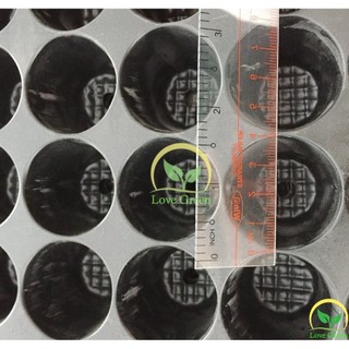Bộ 5 khay ươm, vỉ ươm hạt cây con 104 lỗ