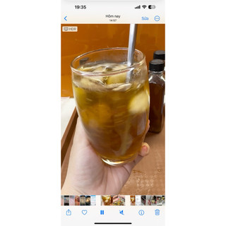 TRÀ SÂM BÍ ĐAO HẠT CHIA