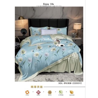 Bộ Tencel Lụa 5 món có mền [ CAO CẤP] mát lạnh