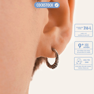 Khuyên tai vòng Vonfram Hoop Earring