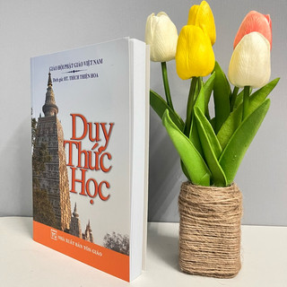 Sách - Duy Thức Học (Bìa Mềm)