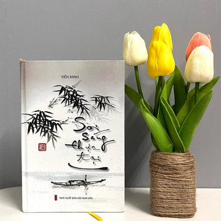 Sách - Soi Sáng Thực Tại (Thầy Viên Minh)