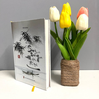 Sách - Soi Sáng Thực Tại (Thầy Viên Minh)