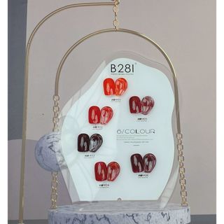 Sơn gel b281 chính hãng tone đỏ 6 màu . set sơn gel đỏ 6 chai