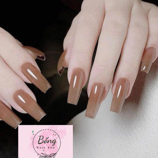 Nail box thiết kế móng úp thạch nâu B115