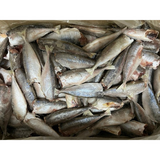 Cá nục mần sạch siêu ngon 1kg (giao tphcm)