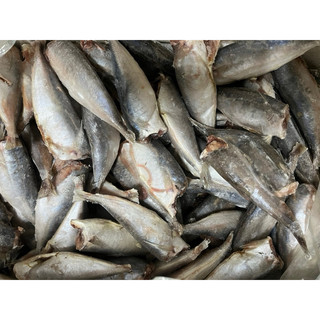 Cá nục mần sạch siêu ngon 1kg (giao tphcm)
