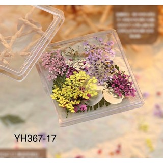 Hoa khô nhí trang trí móng tay mix nhiều màu