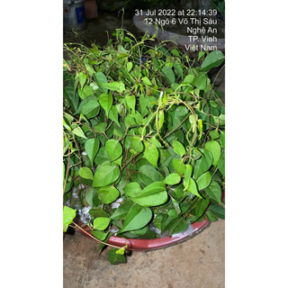 Com bo 3 bầu lá giang Vip