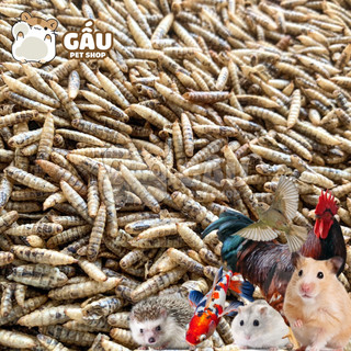 [Mã PET50K giảm Giảm 10% - Tối đa 50K đơn từ 250K] Sâu CANXI khô ăn vặt cho Hamster, Nhím, Chim, Cá cảnh