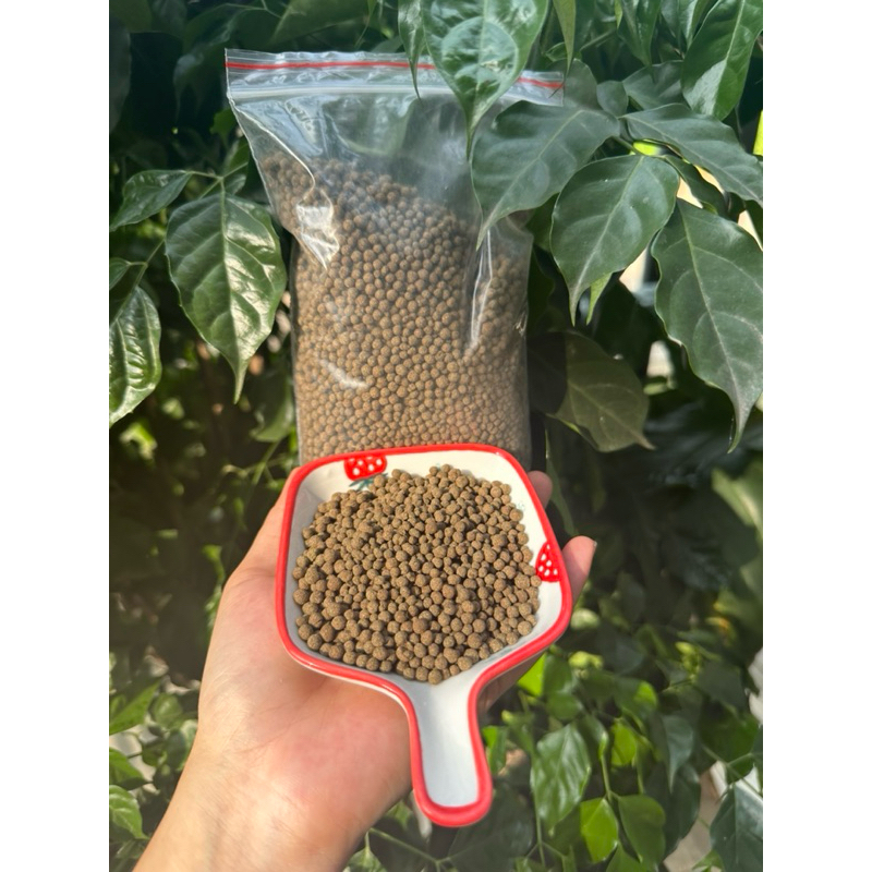 đại tràng - dạ dày- trào ngược dạ dày- vi khuẩn Hp