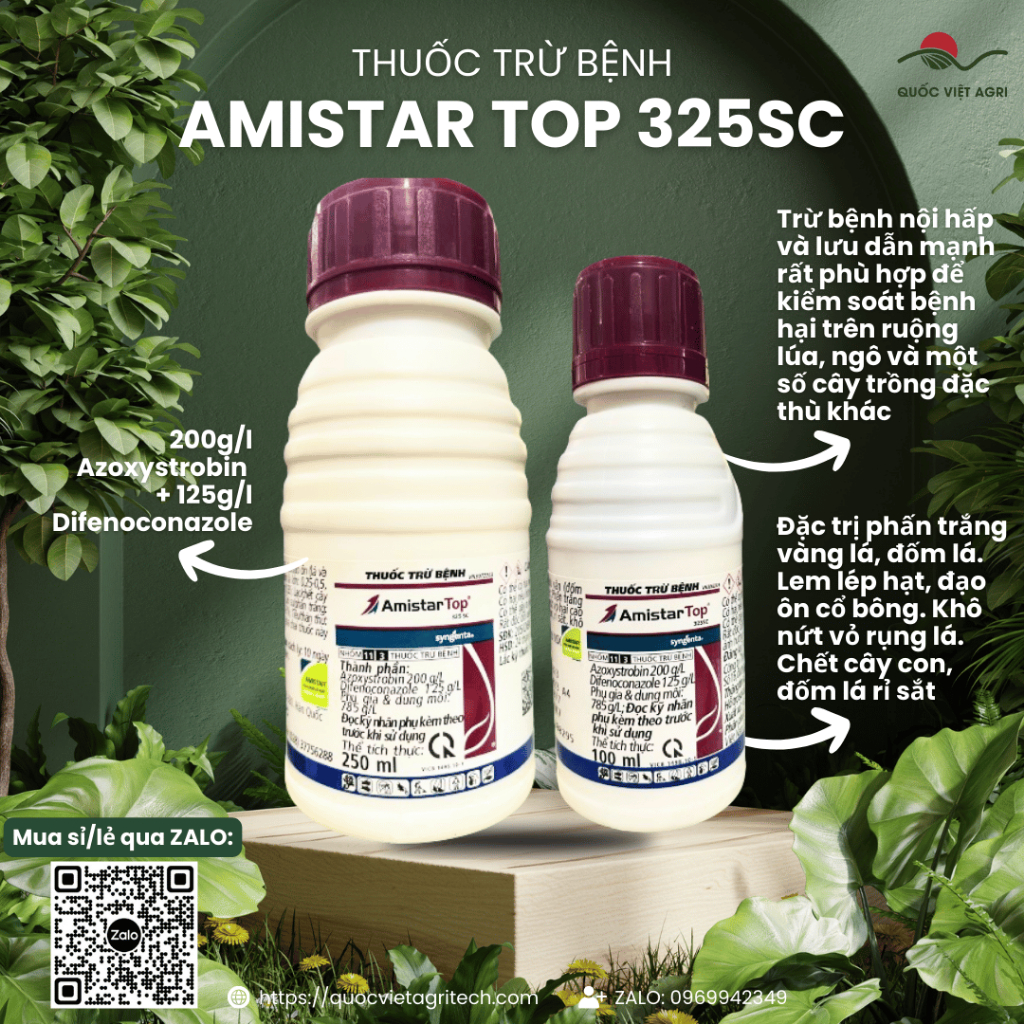 Thuốc Trừ Bệnh - AMISTAR TOP 325SC - (100ml - 250ml)