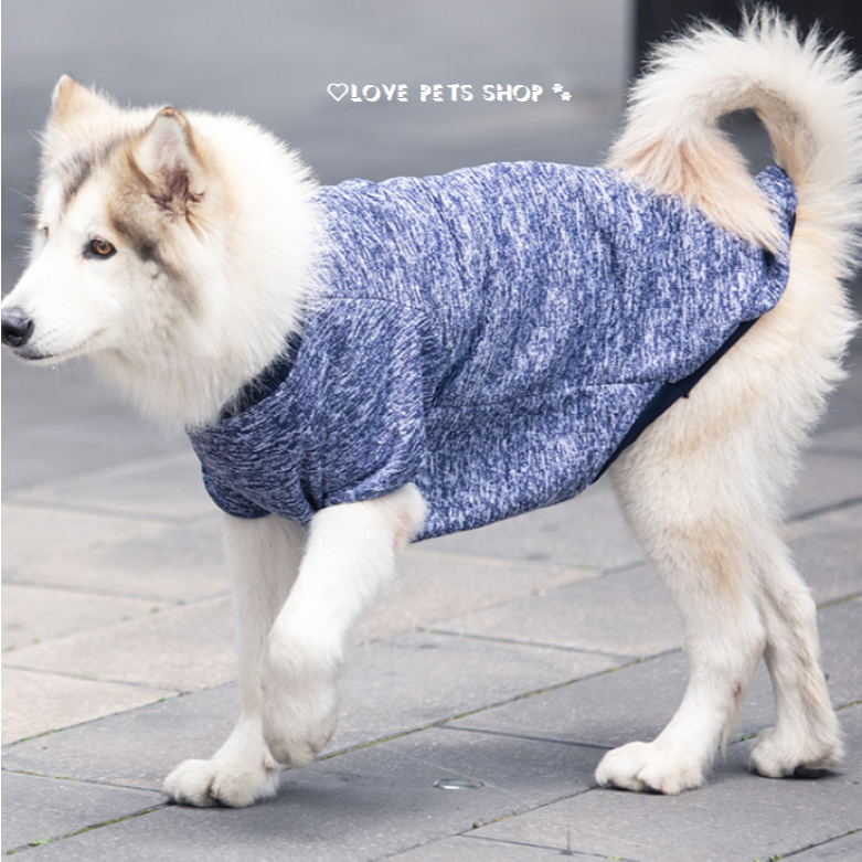 Áo thu đông cho Chó Mèo - Love Pets Shop