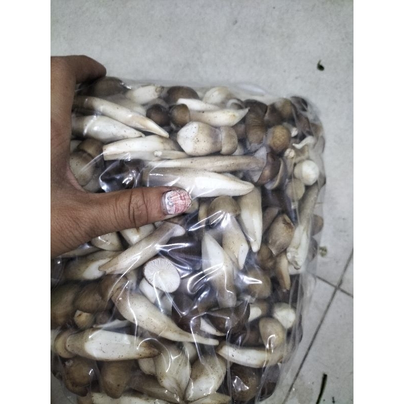 nấm mối đã gọt sạch 300g