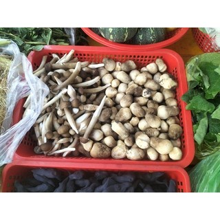 nấm mối đã gọt sạch 300g