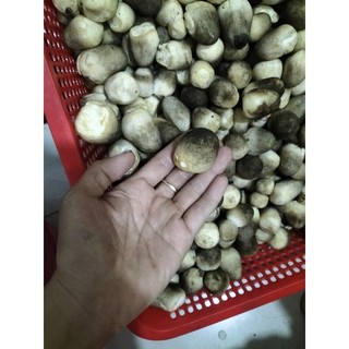 nấm mối đã gọt sạch 300g