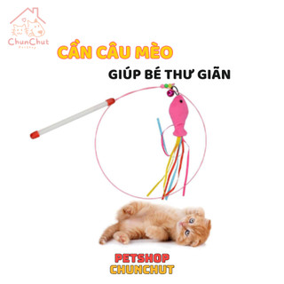 Cây chơi cho Mèo - Cần câu dây thép dẻo và lông vũ