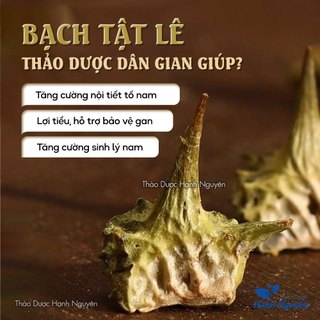 [Giá Sỉ] 1kg Trà Bạch Tật Lê (Đã Sao Thơm)