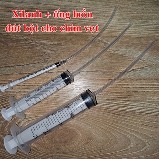 Xi lanh và ống luồn đút bột cho chim non, vẹt non