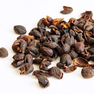Trà Cascara từ vỏ quả cà phê Arabica