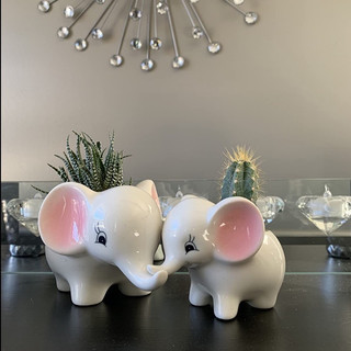 Set 2 chậu sứ voi trồng cây