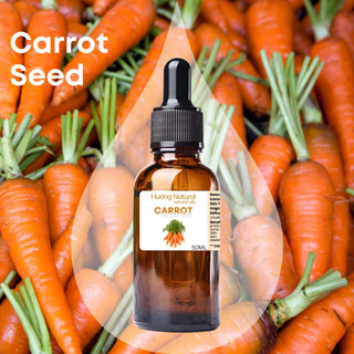 Organic dầu hạt cà rốt Carrot seed oil hữu cơ nguyên chất