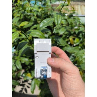 Cb Aptomat chống giật Lioa mới 32A