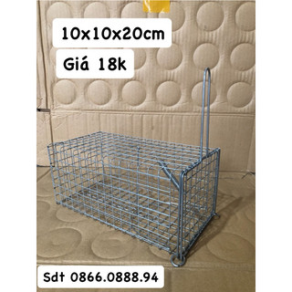 Combo 20 bẫy chuột 10x20 cm chì.